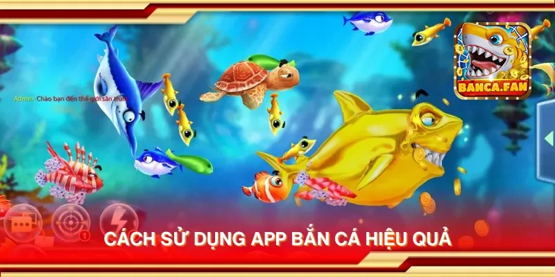 Cách sử dụng app bắn cá hiệu quả