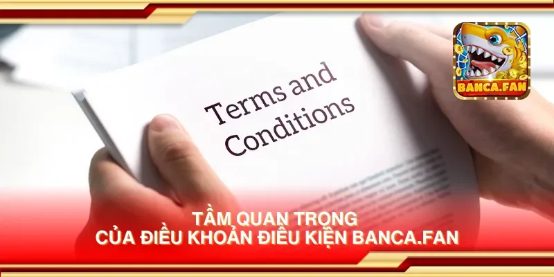 Tầm quan trọng của điều khoản điều kiện bancadoithuong.uk.com